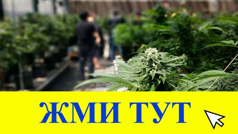 Купить наркотики в Тюкалинске